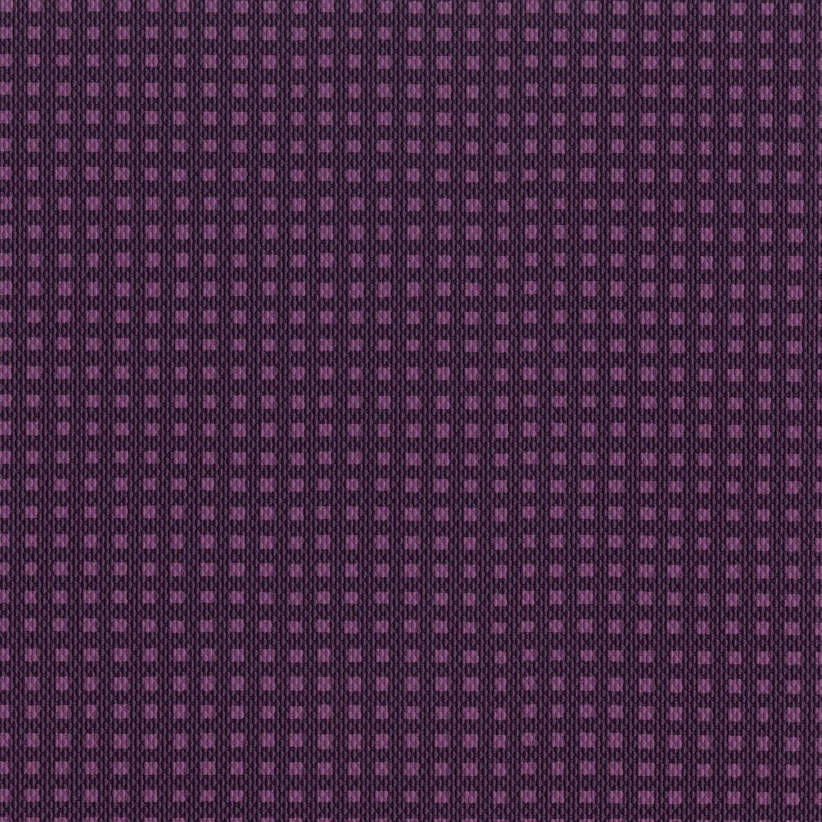 AMBLA Berkshire BURGHFIELD violett