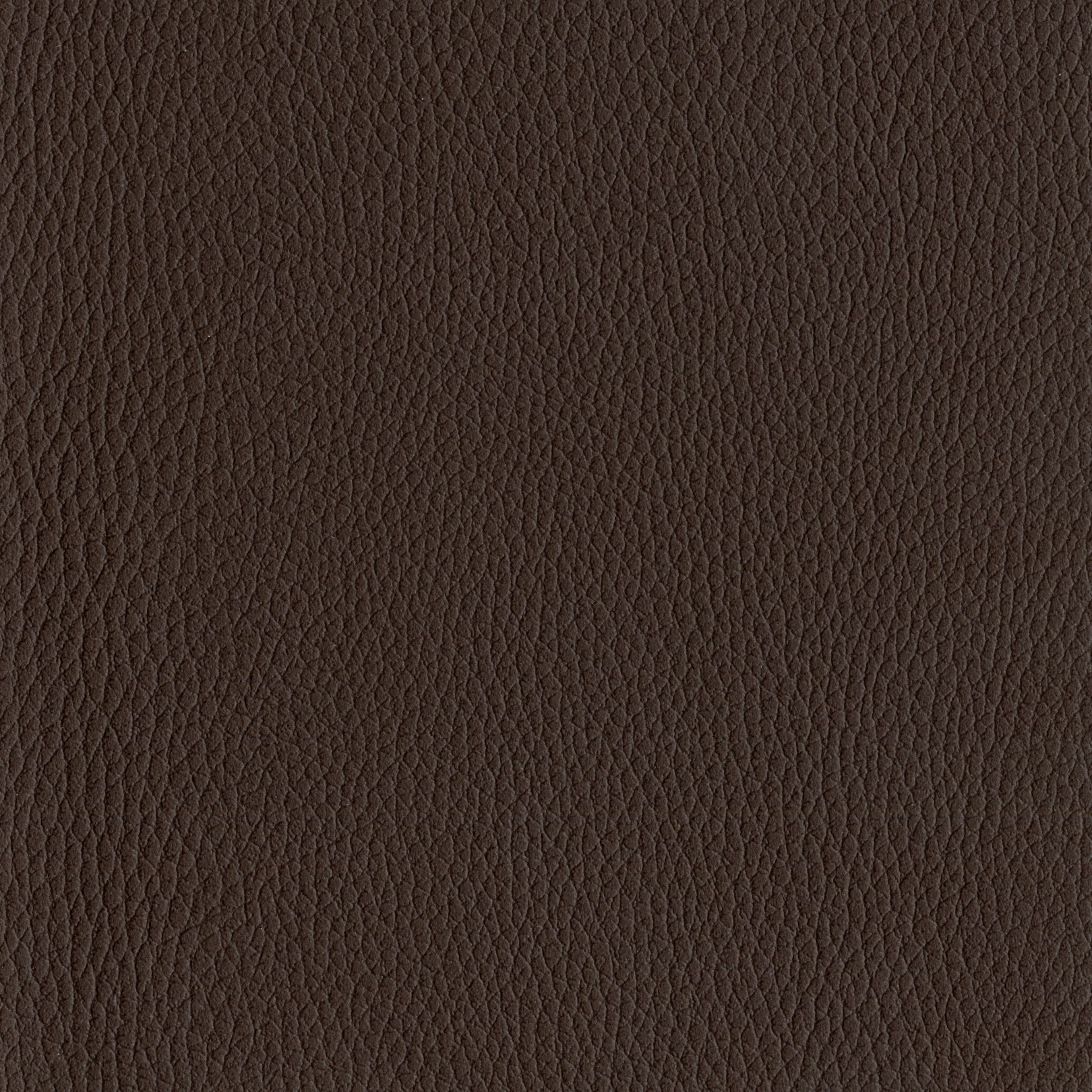 AMBLA Exmoor ASHWICK braun