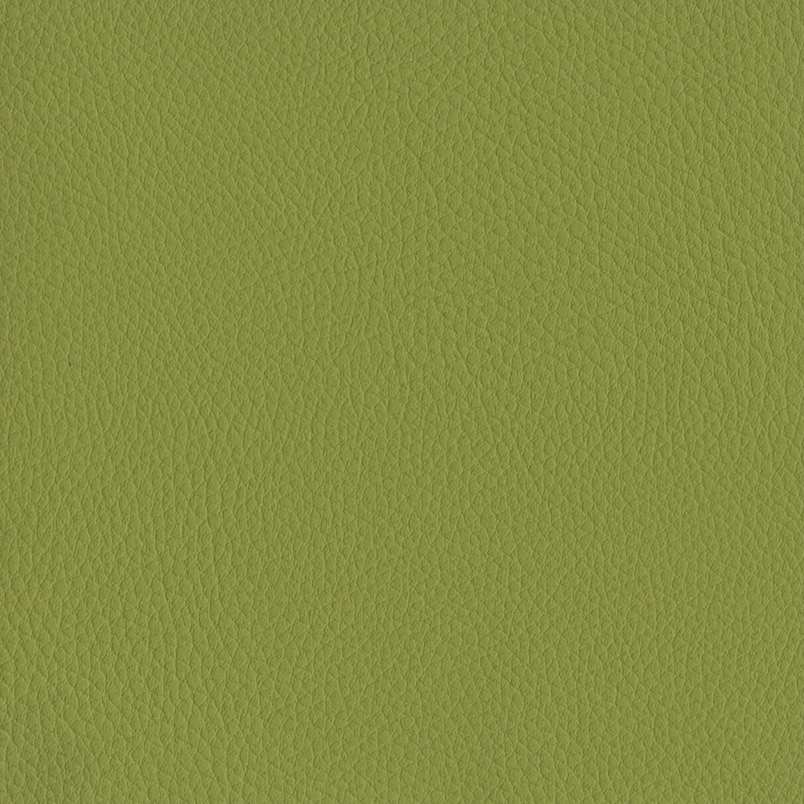 AMBLA Exmoor BRATTON apfelgrün