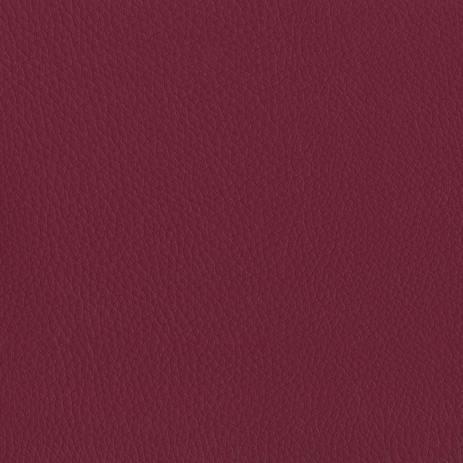 AMBLA Exmoor CHERITON bordeaux