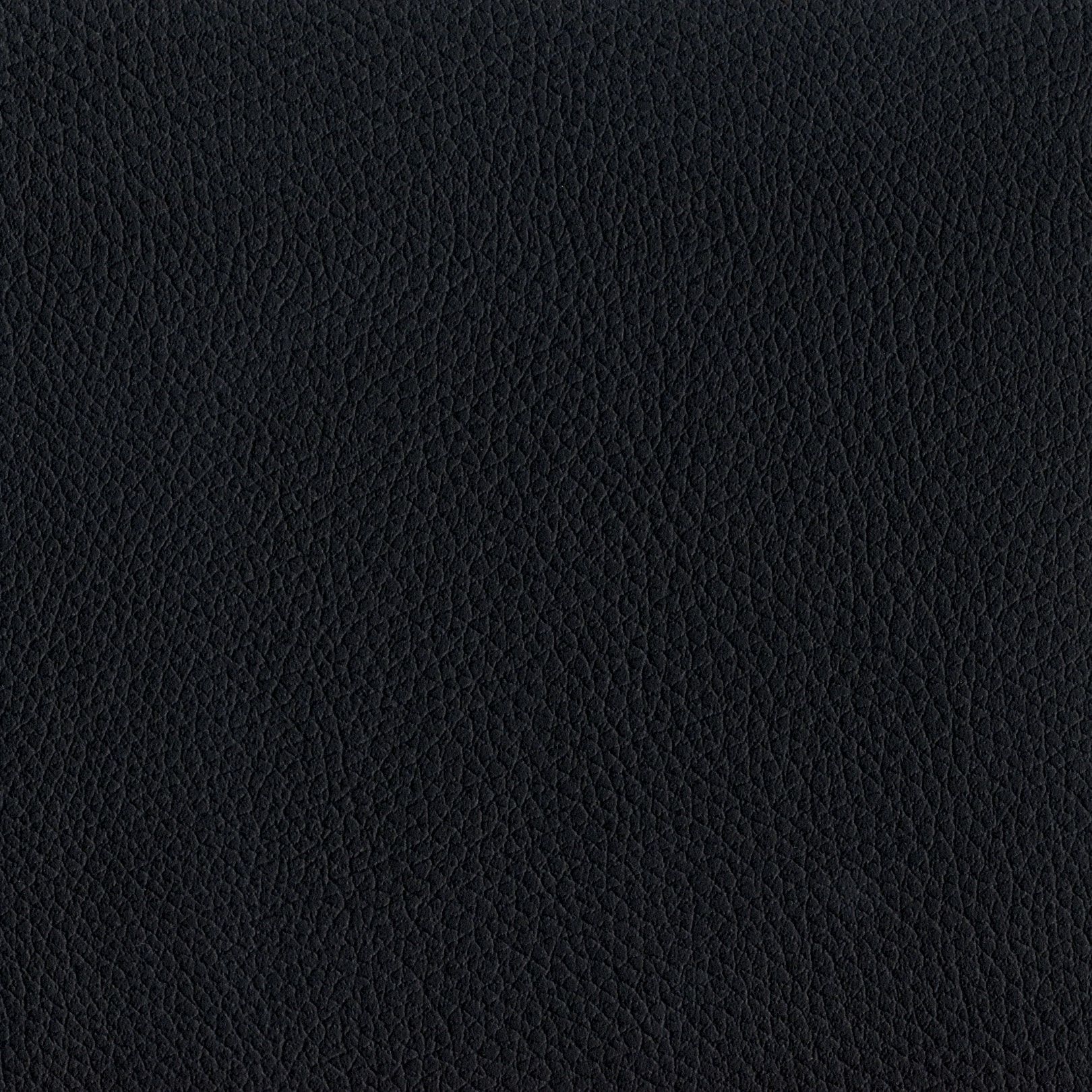 AMBLA Exmoor EXTON schwarz