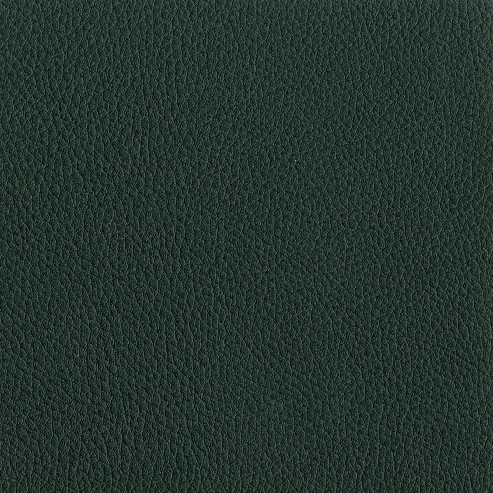 AMBLA Exmoor HAWKRIDGE dunkelgrün