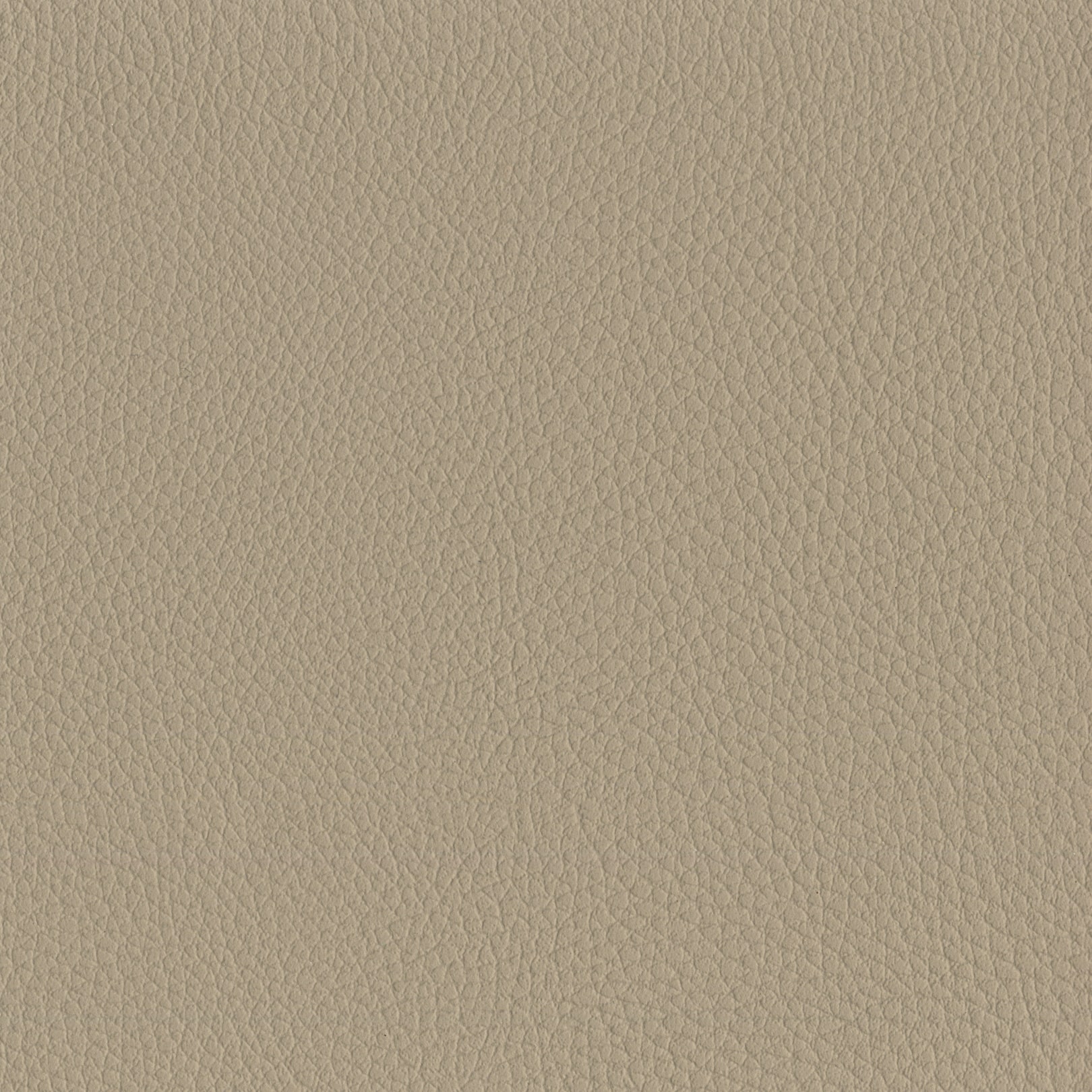 AMBLA Exmoor HOLNICOTE graubeige