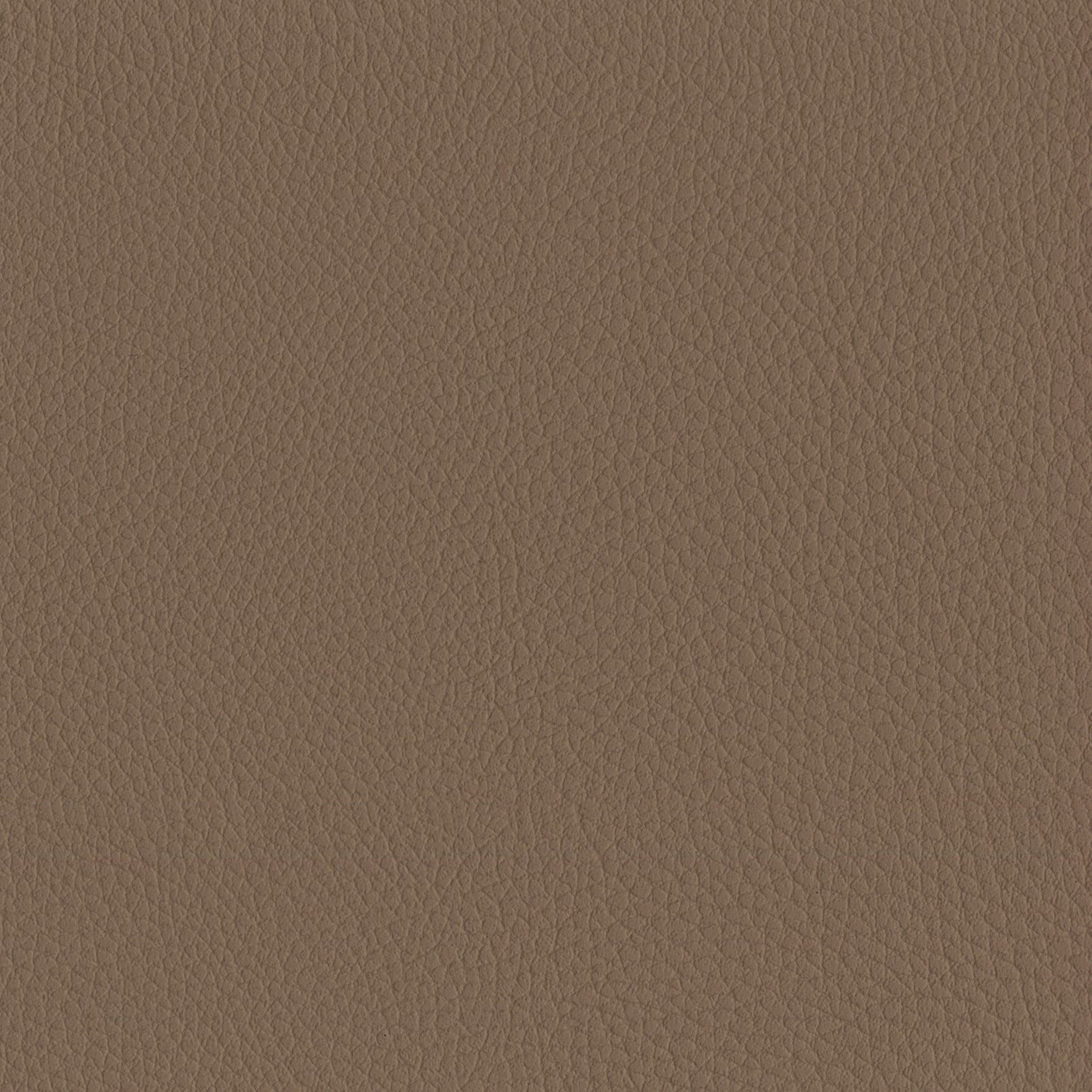 AMBLA Exmoor NUTCOMBE braunbeige