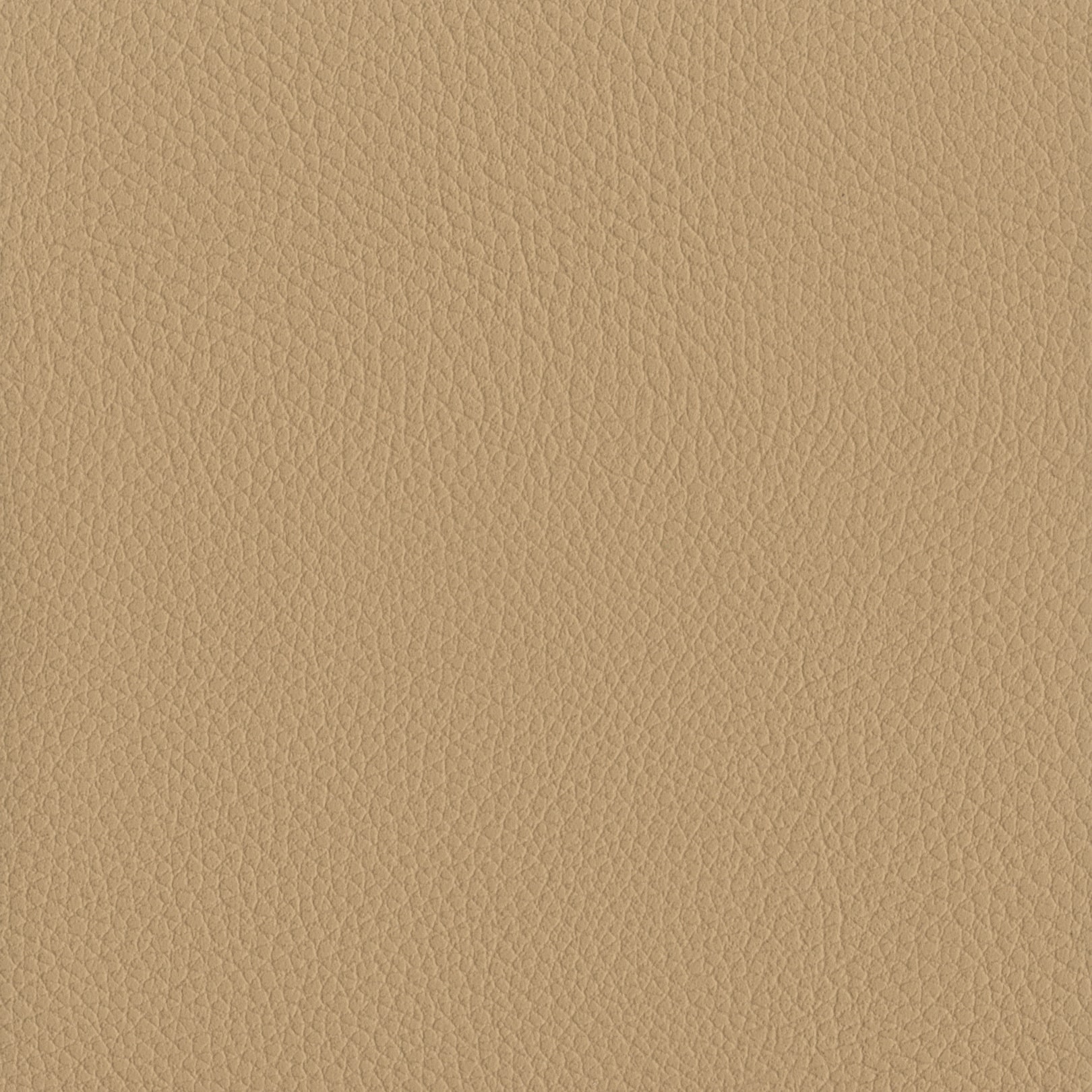 AMBLA Exmoor UPTON beige