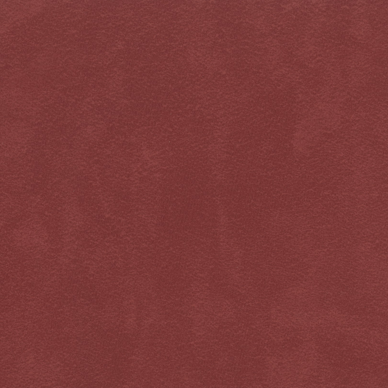 AMBLA Munro CONIVAL rot