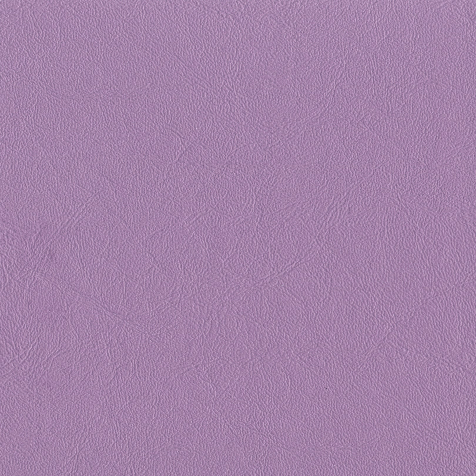 AMBLA Richmond LAVENDER lavendel