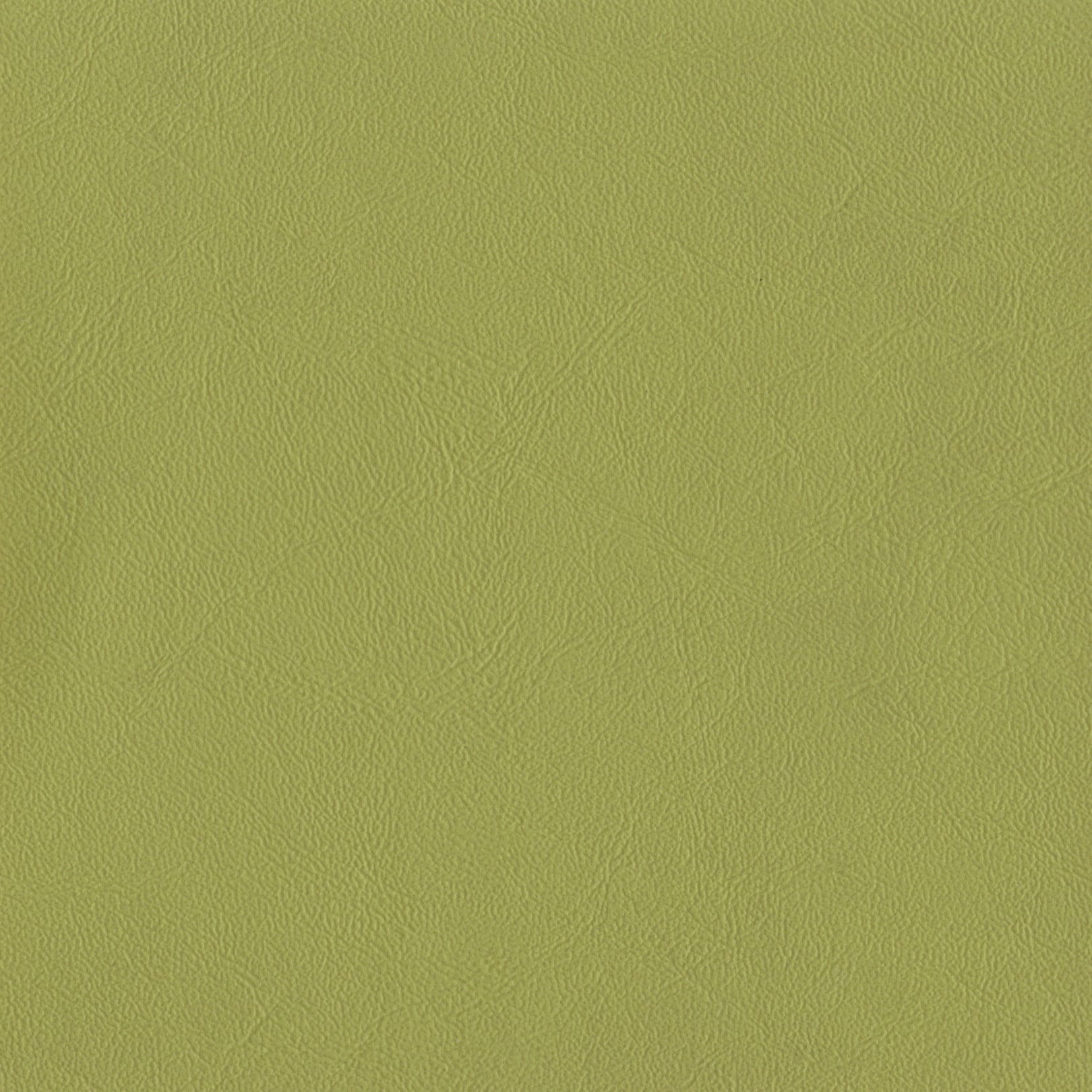 AMBLA Richmond LIME apfelgrün