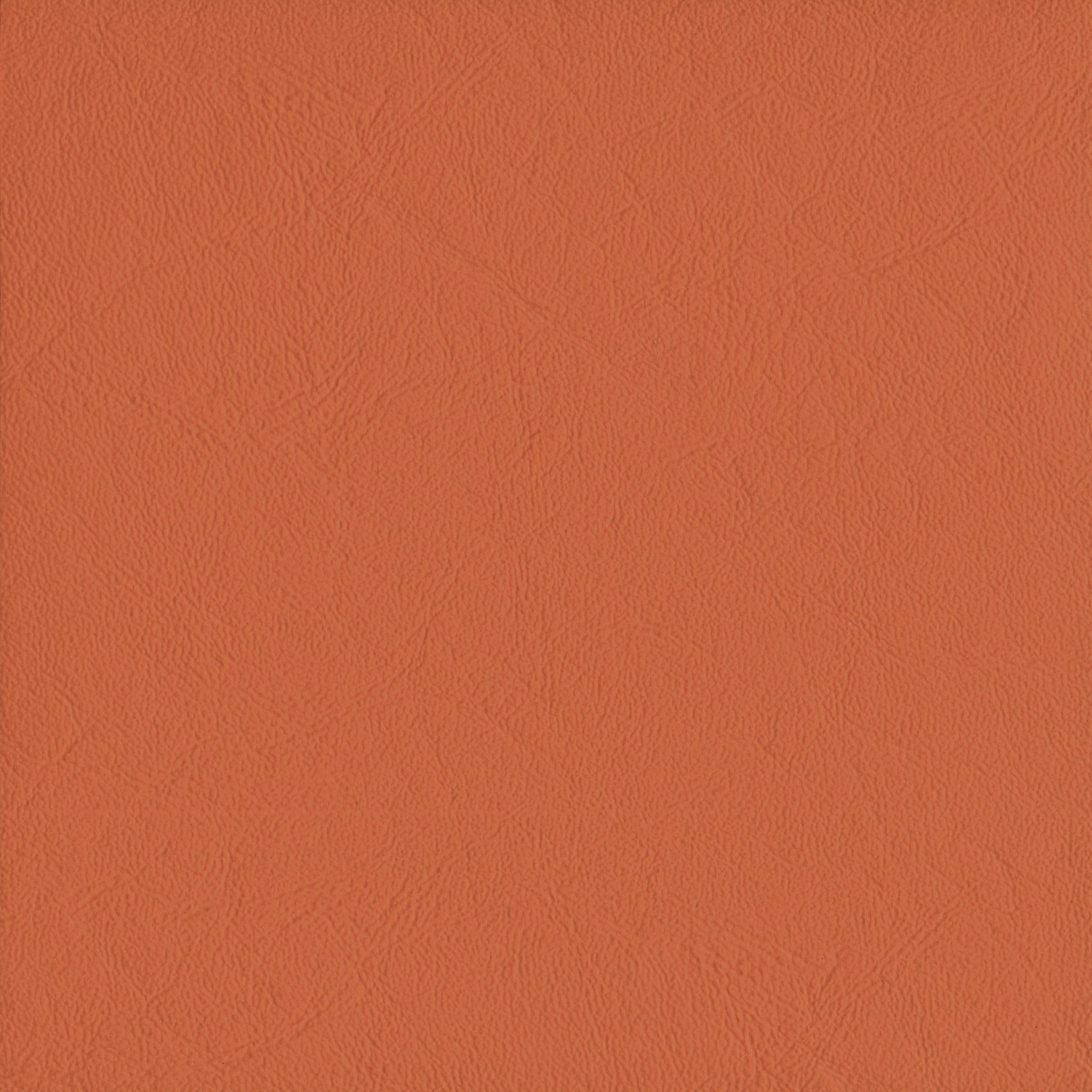 AMBLA Richmond MANGO orange