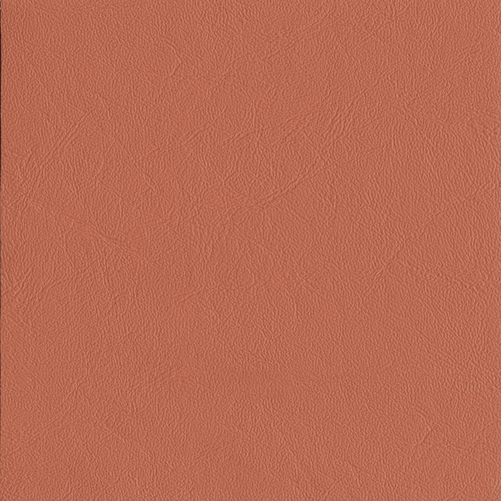 AMBLA Richmond PEACH hellorange