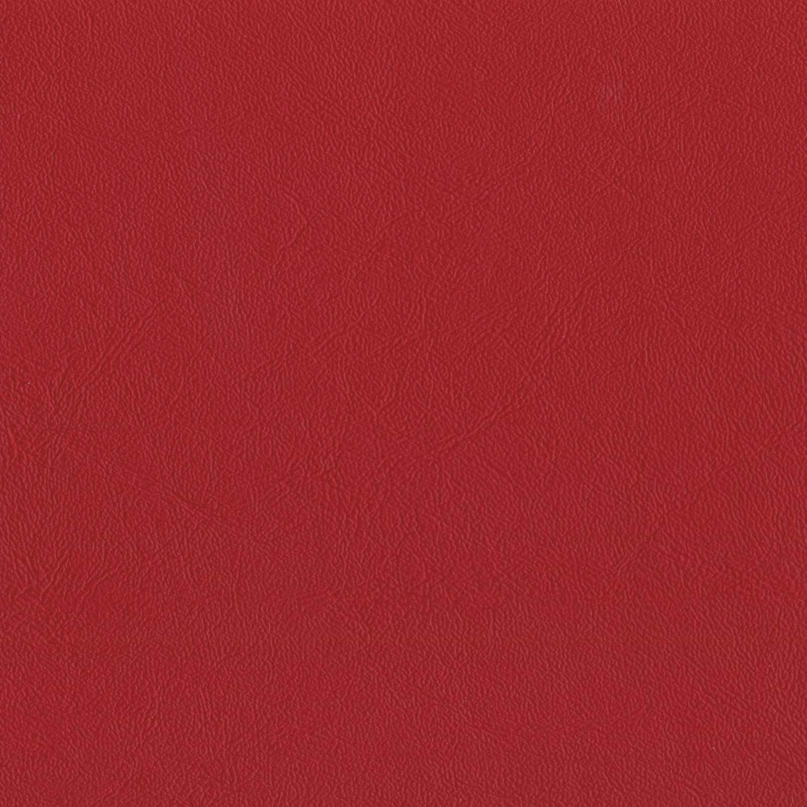 AMBLA Richmond POPPY rot