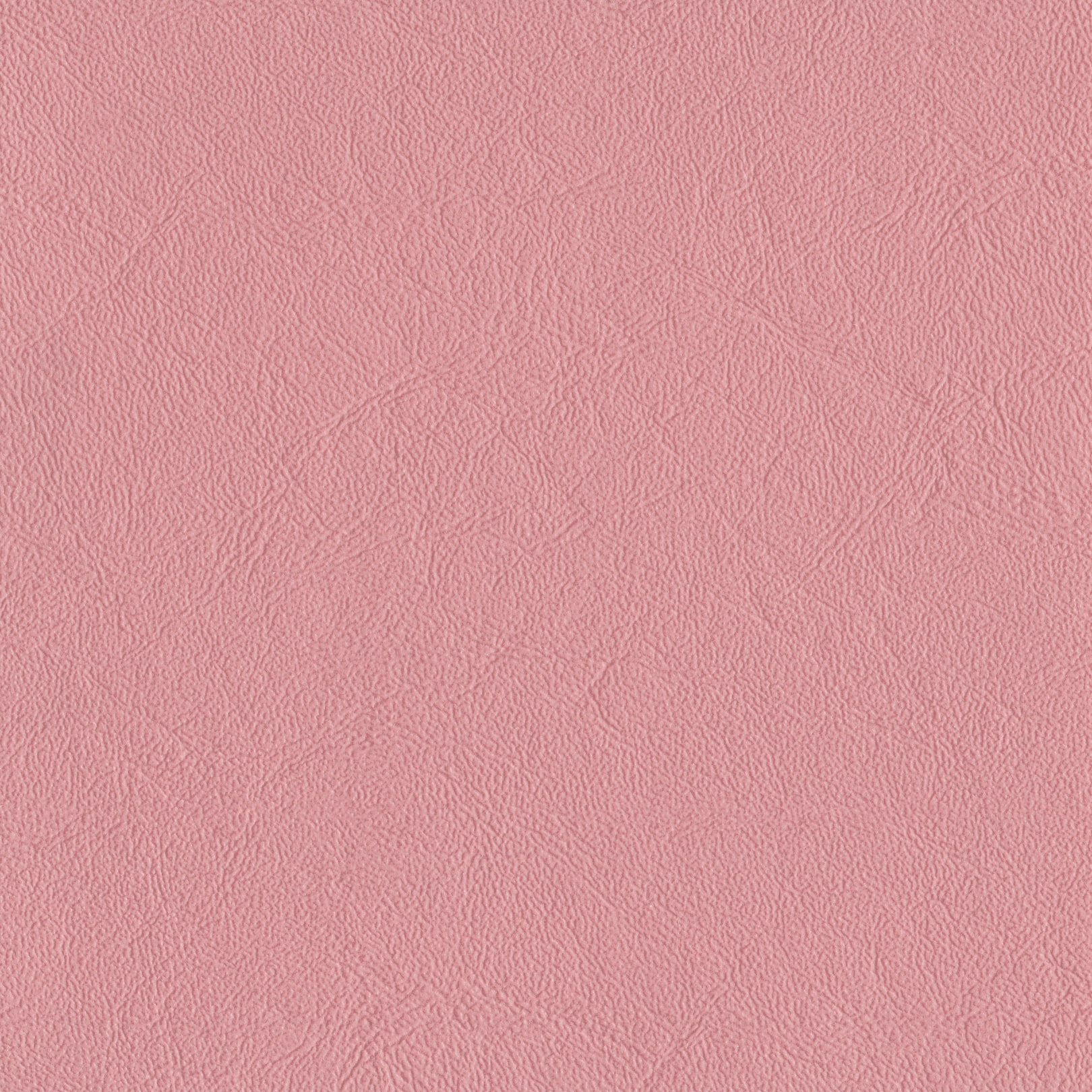 AMBLA Richmond ROSEBUD hellrosa