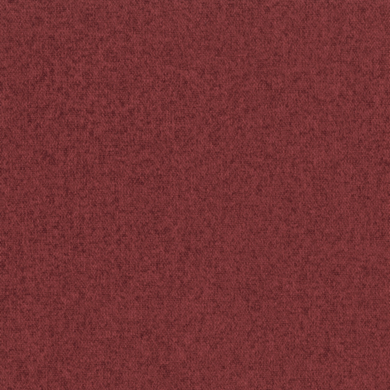 AMBLA Wild Heather LEWIS rot