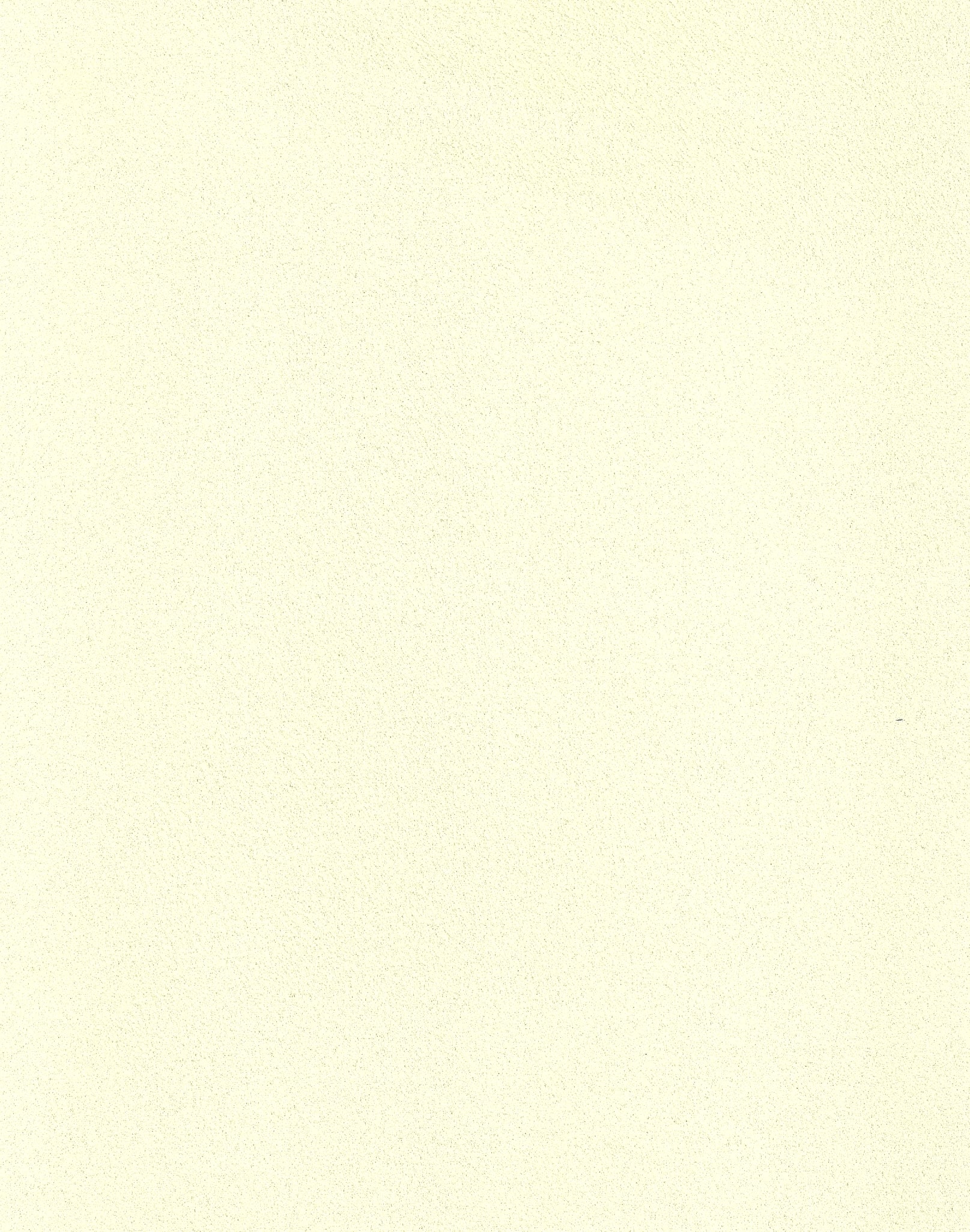 NIROXX Classic 543012 natur_creme