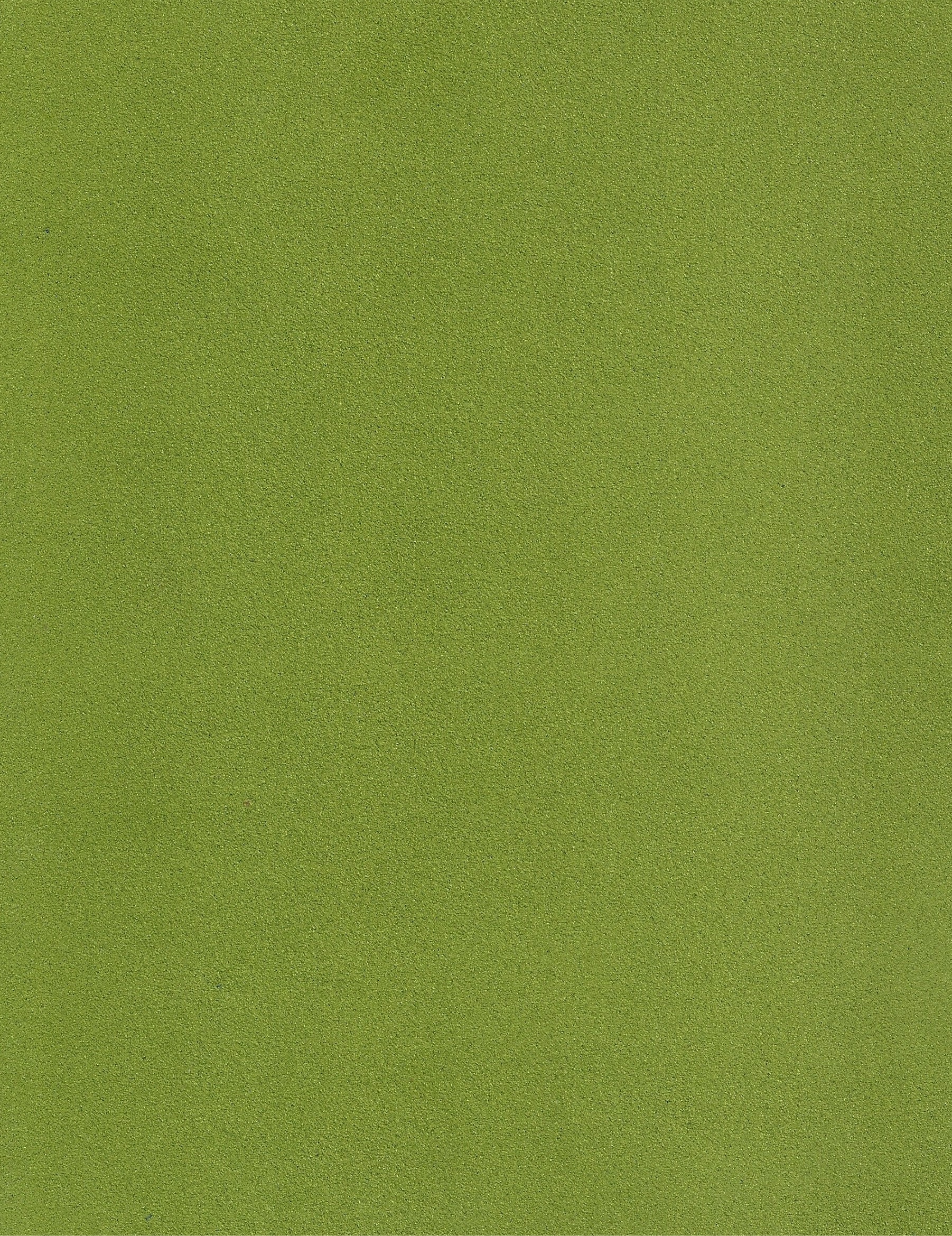 NIROXX Classic 543026 grün