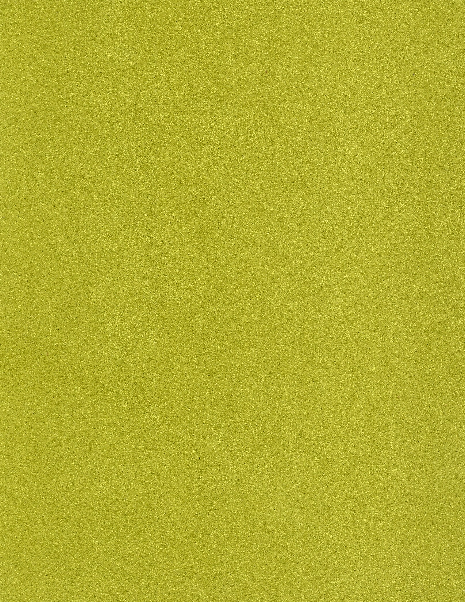 NIROXX Classic 543031 frühlingsgrün