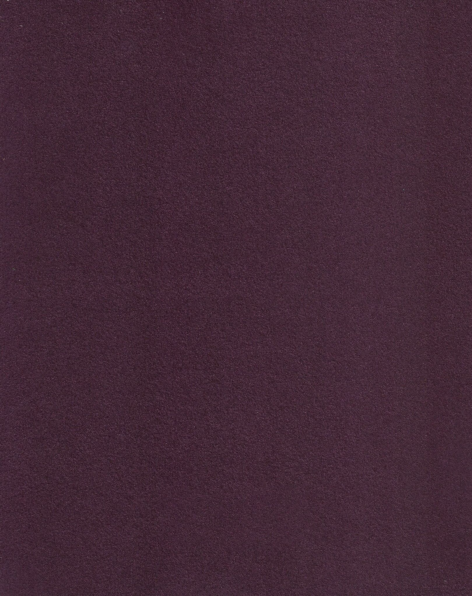 NIROXX Classic 543034 aubergine