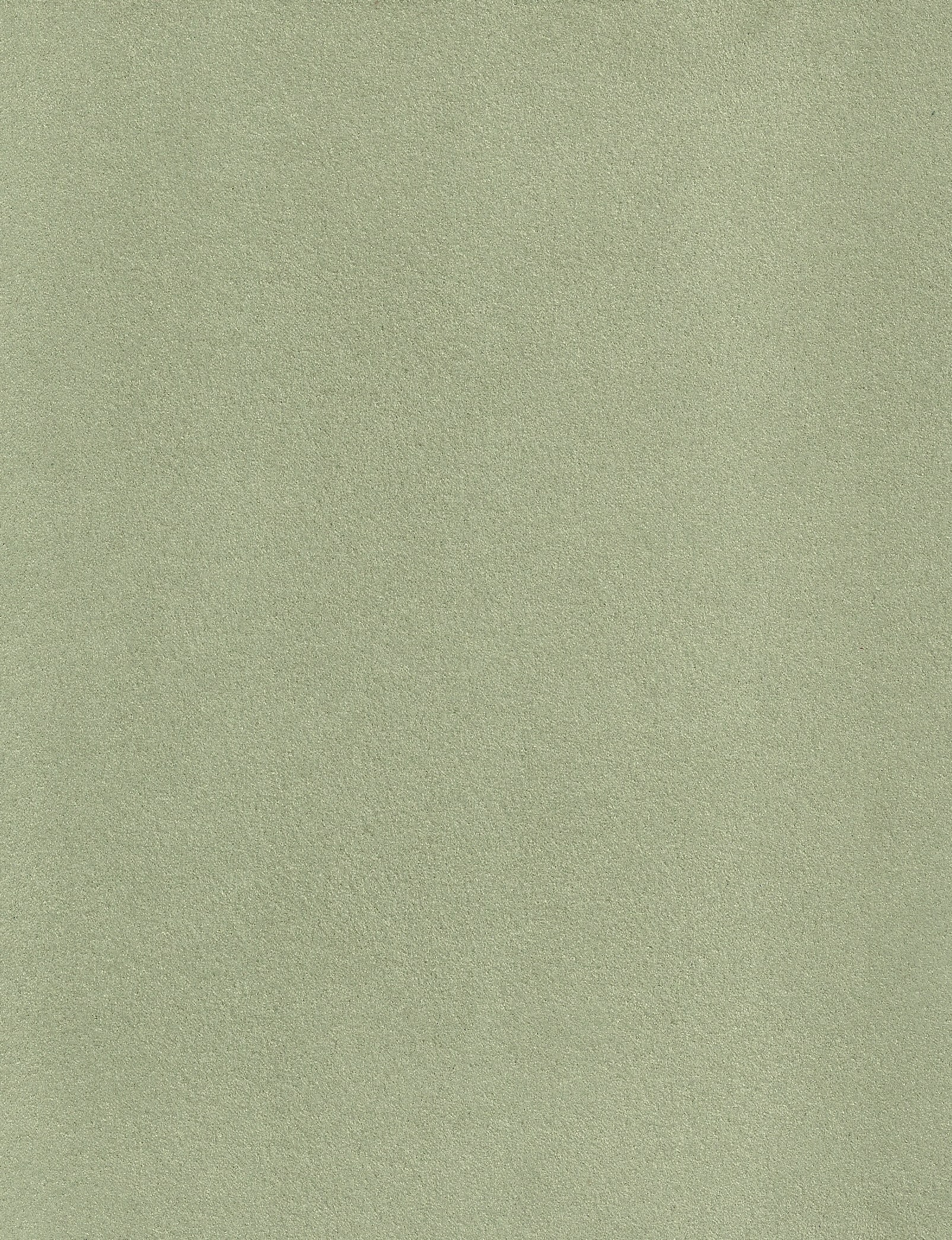 NIROXX Classic 543045 blassgrün