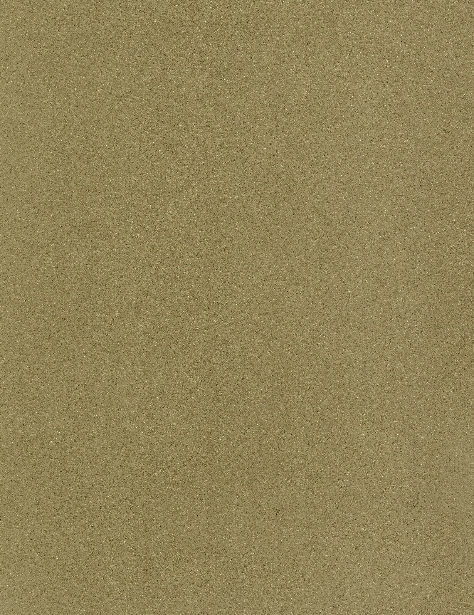 NIROXX Classic 543053 laubgrün