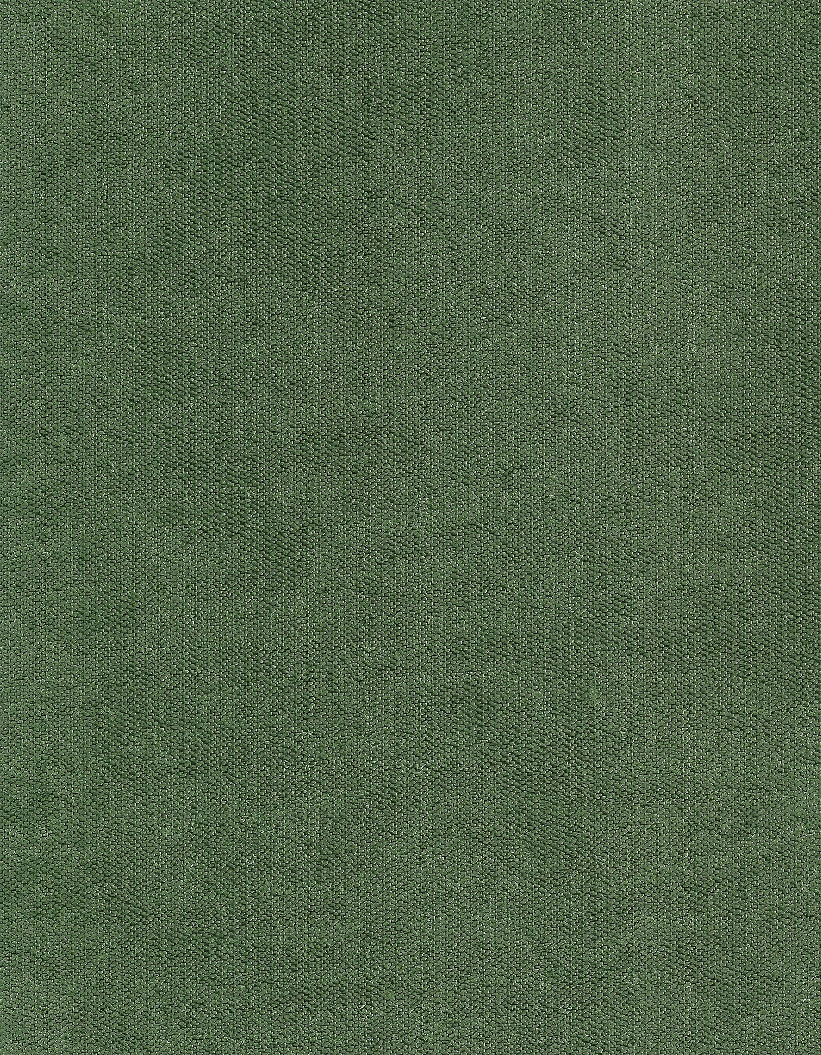 NIROXX Lamè 568024 tannengrün