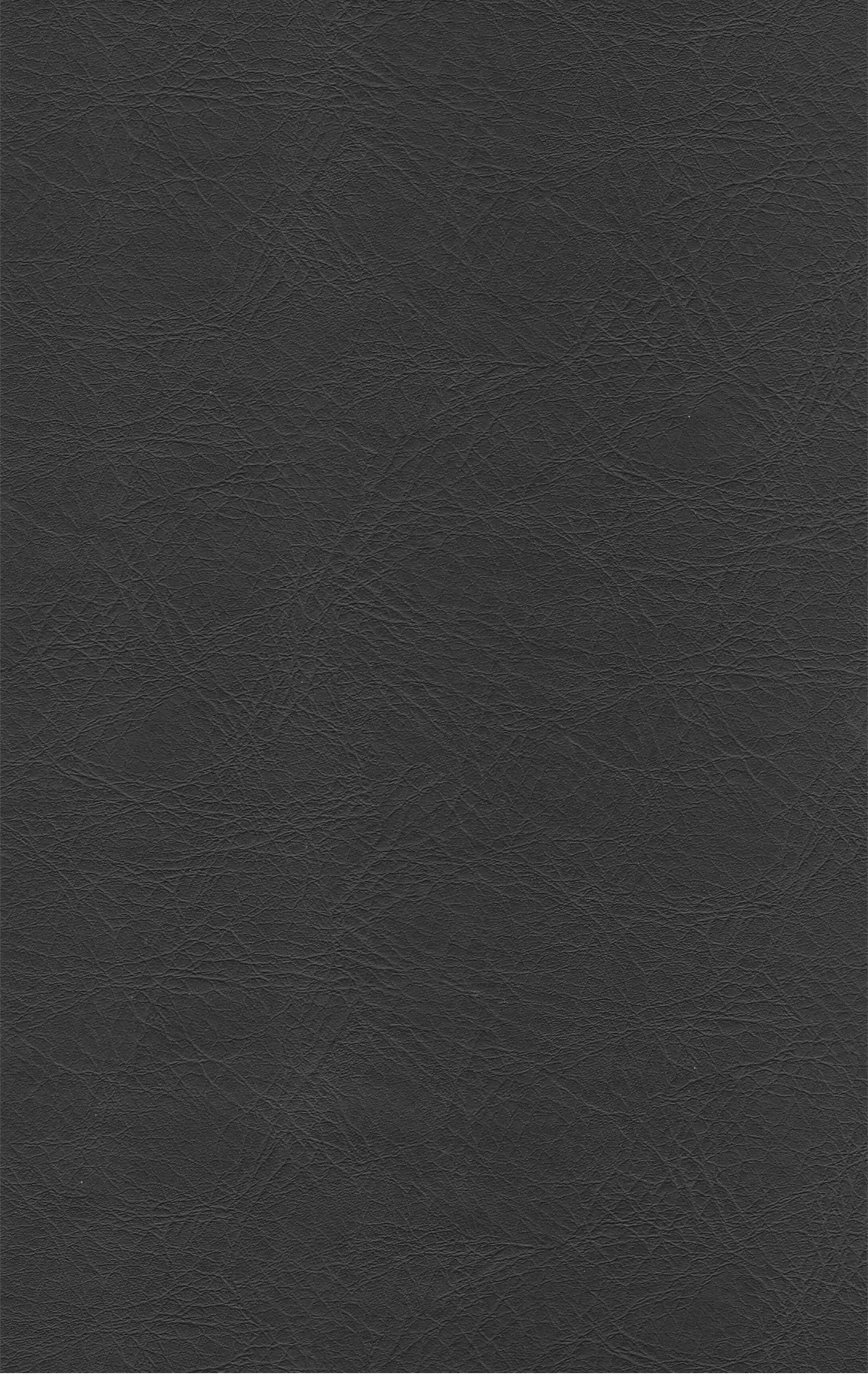 PUxx #1 21.5816 schwarz