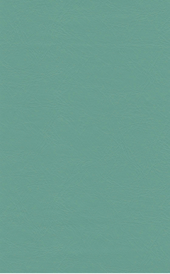 PUxx #1 21.6491 türkisgrün