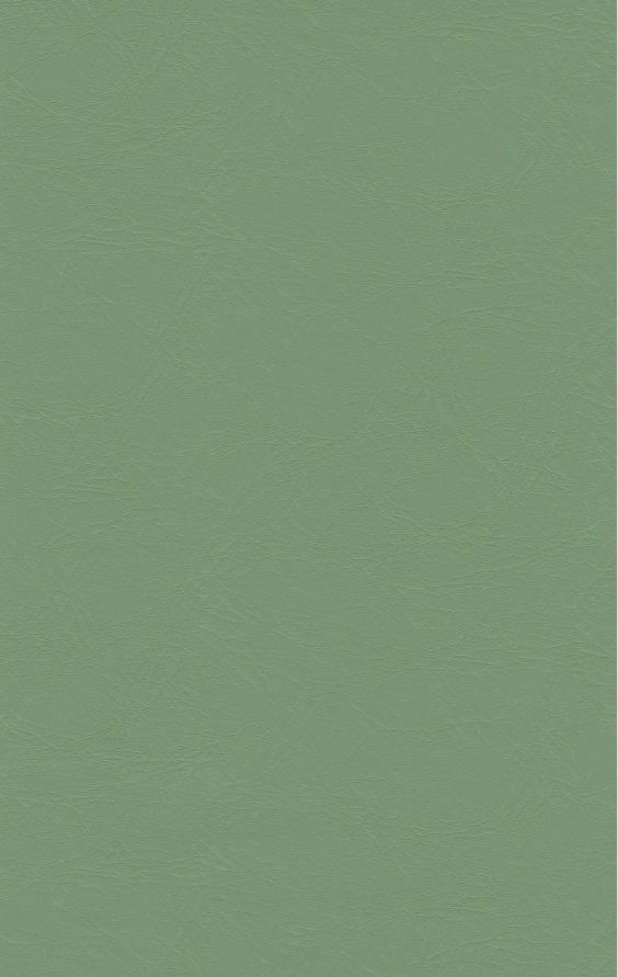 PUxx #1 21.6493 resedagrün