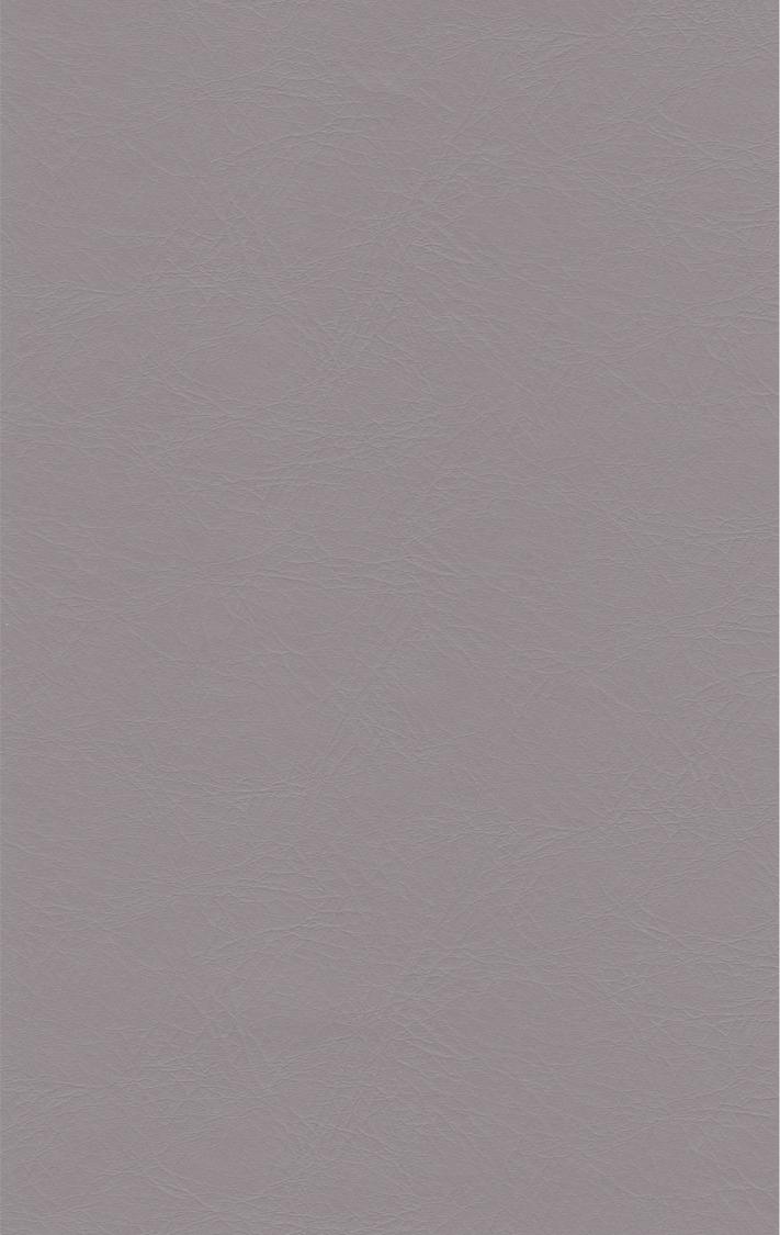 PUxx #1 21.6798 grauviolett