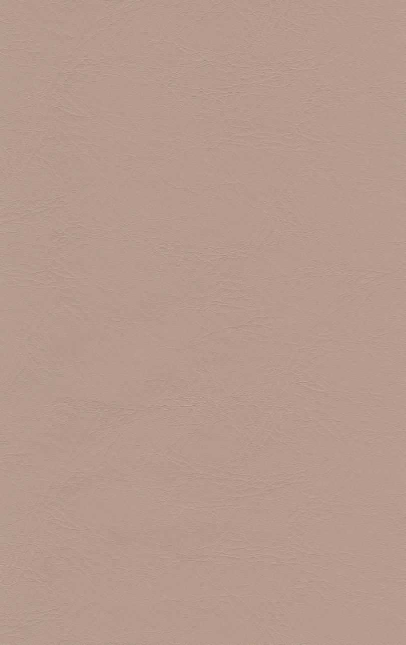 PUxx #1 21.7140 dunkelbeige