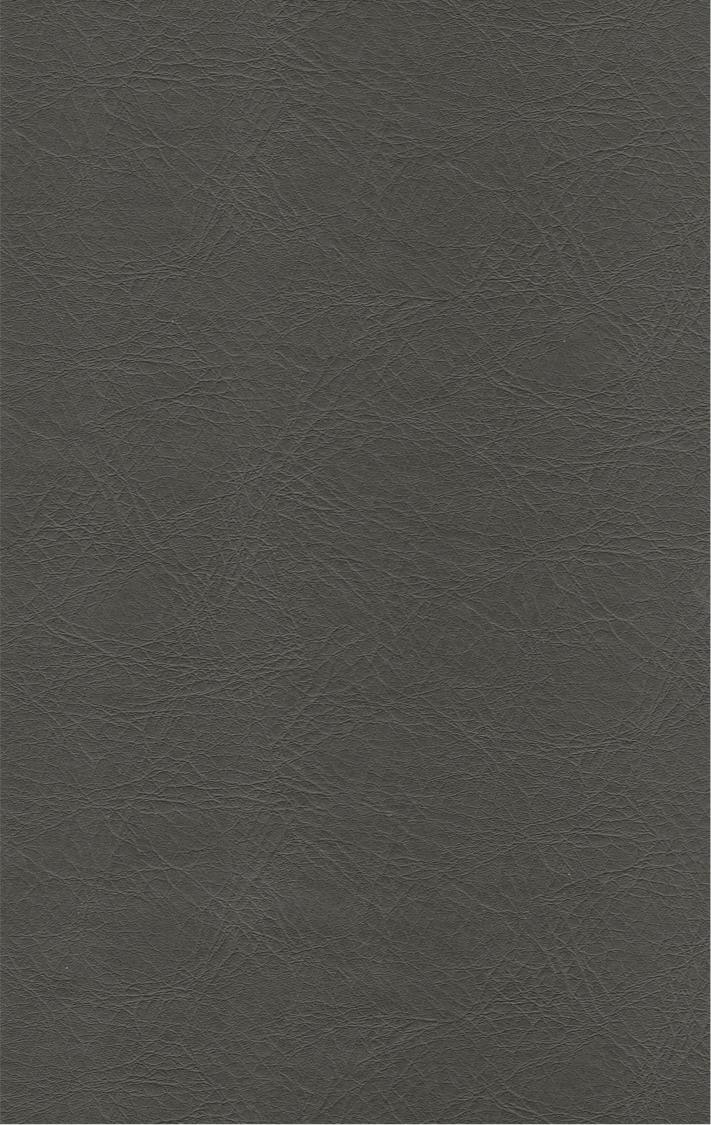 PUxx #1 21.7206 dunkelgrau