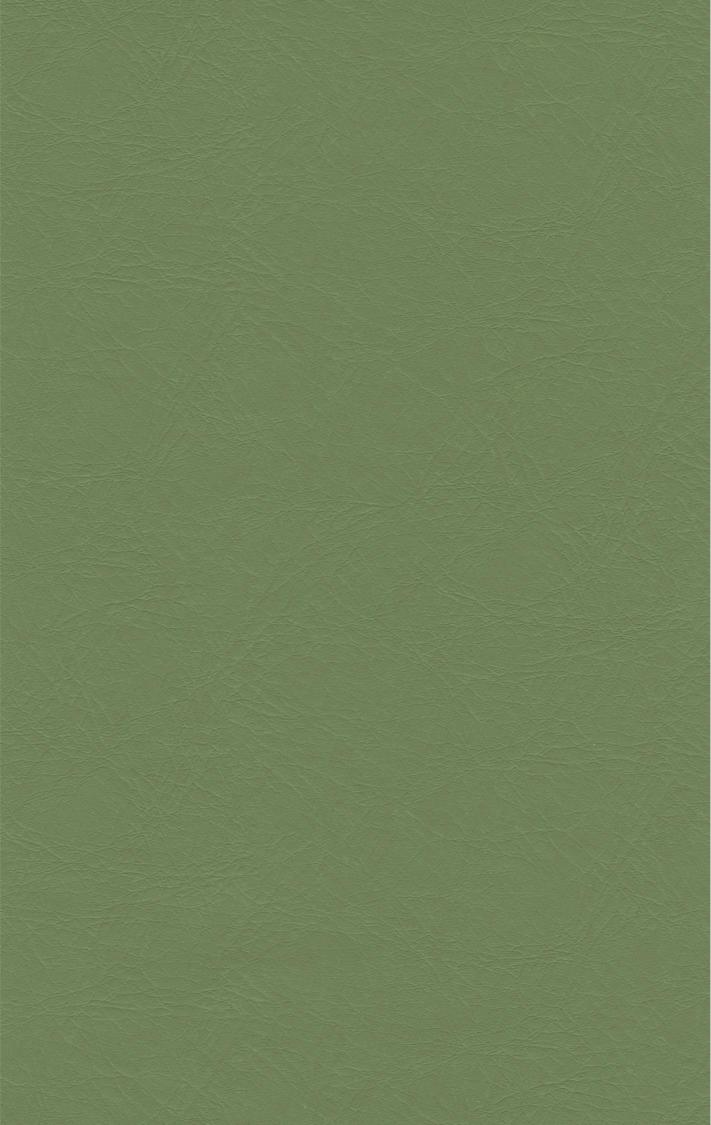 PUxx #1 21.7482 olivgrün