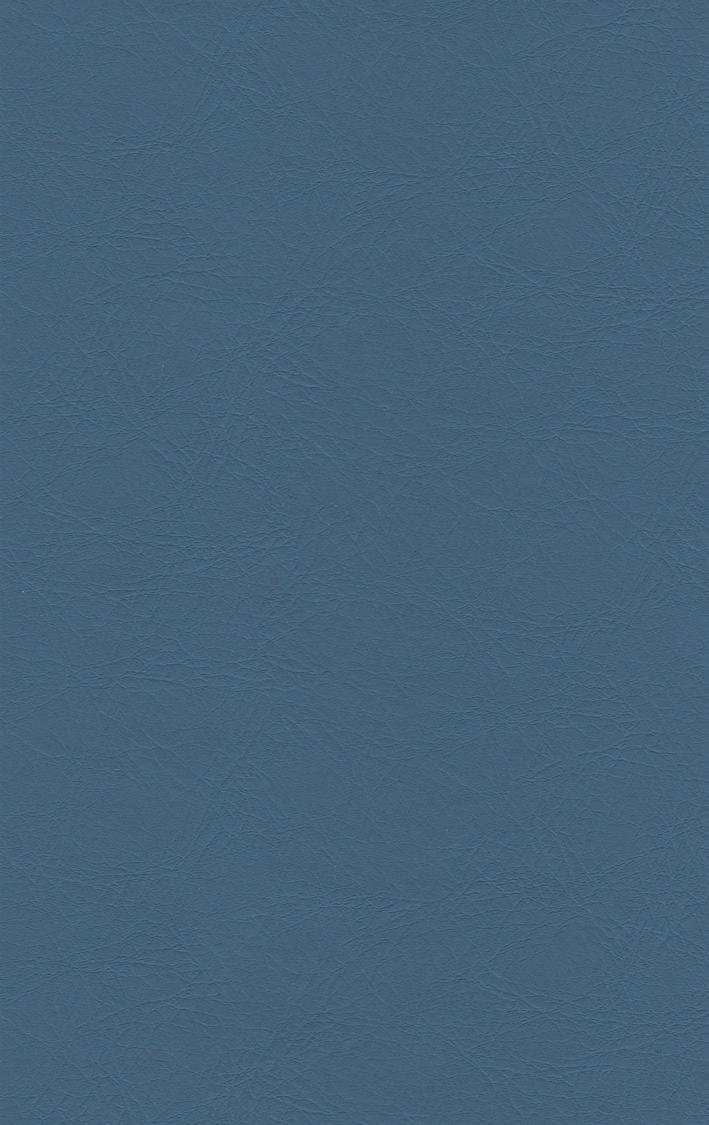 PUxx #1 21.7606 blau