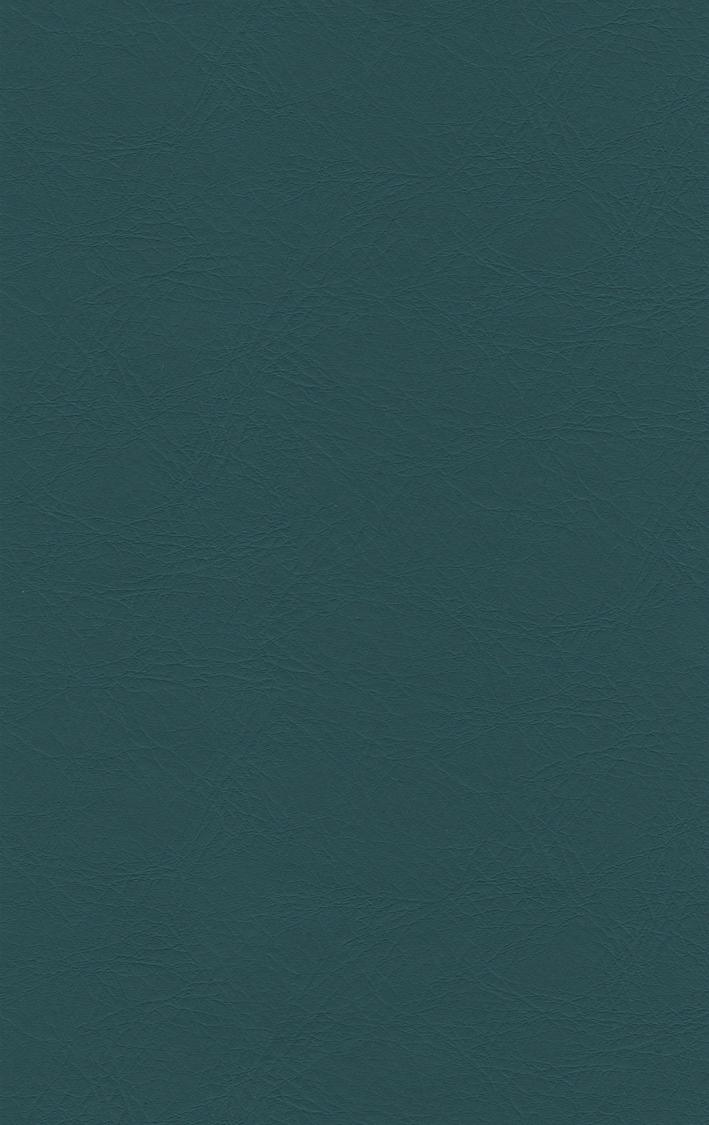 PUxx #1 21.7608 türkis