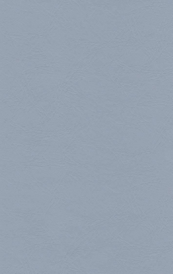 PUxx #1 21.7610 graublau