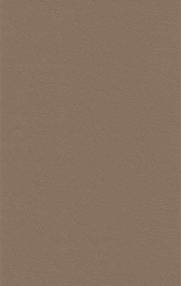 PUxx #1 21.7707 mittelbraun