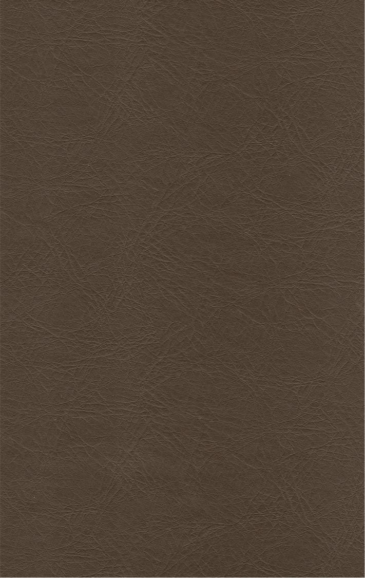 PUxx #1 21.7709 braun