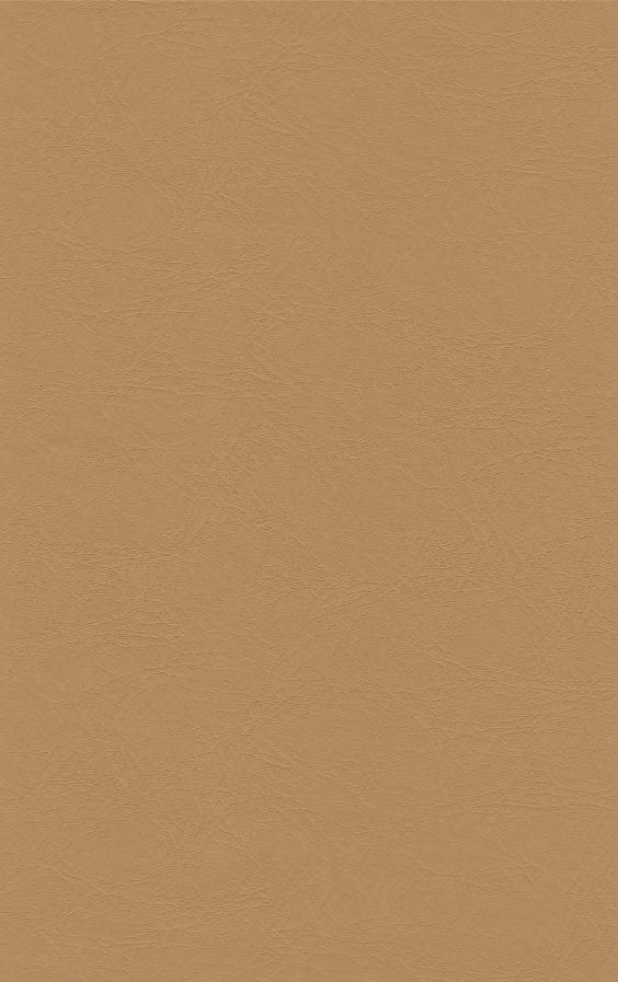 PUxx #1 21.7722 kamelbraun