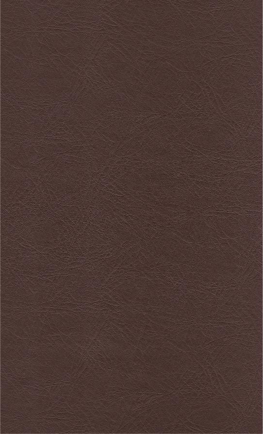 PUxx #1 21.7723 kastanienbraun