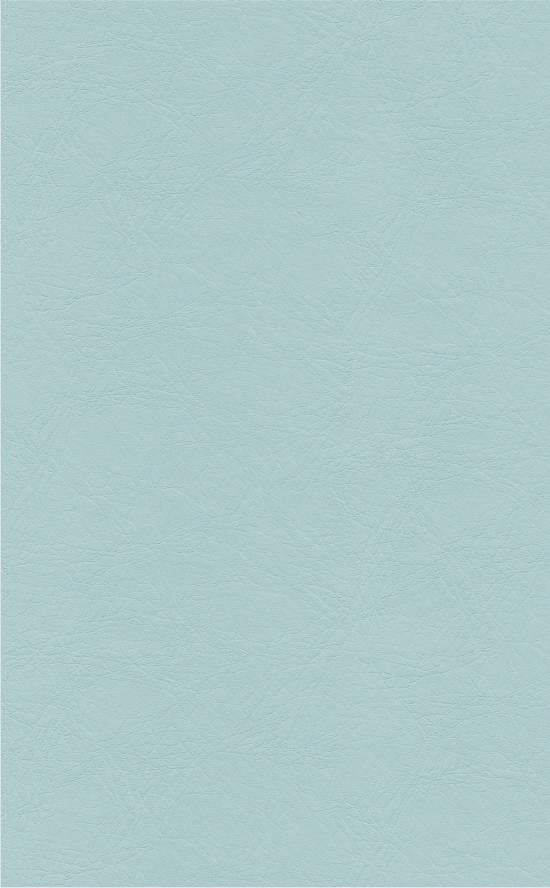 PUxx #1 21.8645 blasstürkisblau