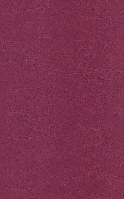 PUxx #1 21.9531 violett