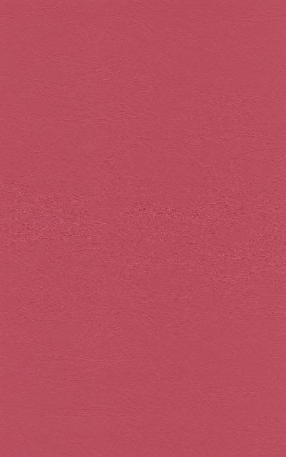 PUxx #1 21.9533 aprikot