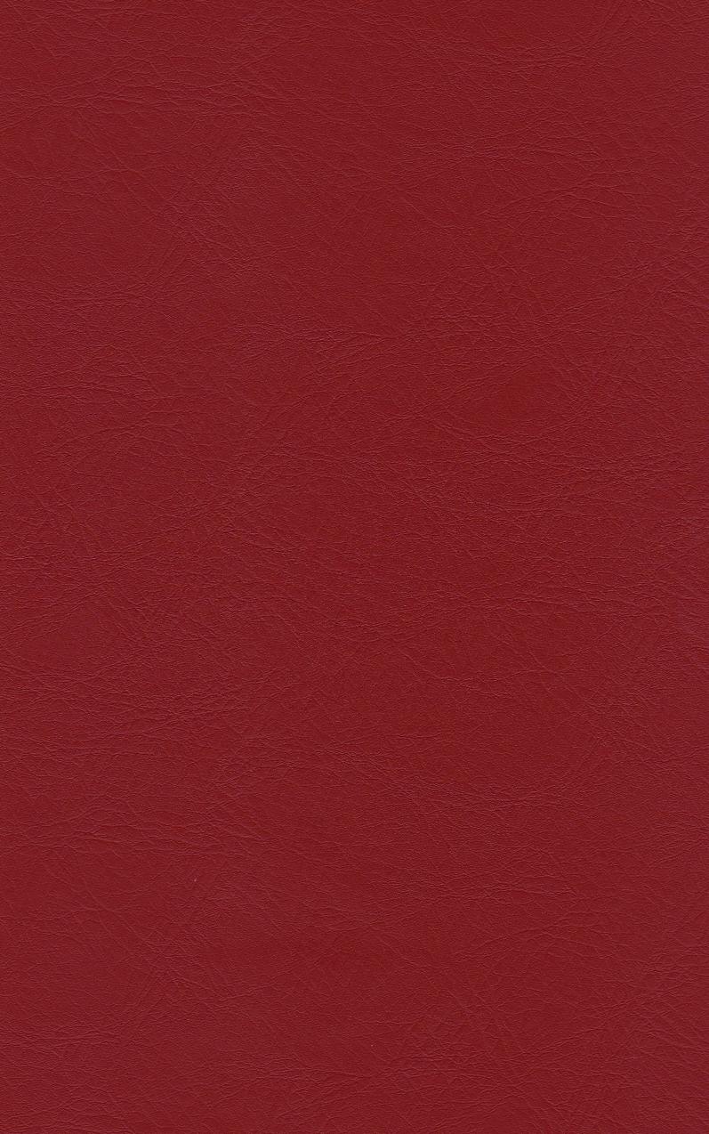 PUxx #1 21.9534 rotbraun