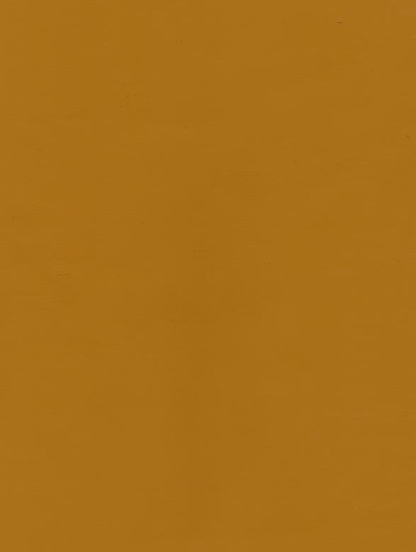 PUxx #2 22.3017 ockergelb