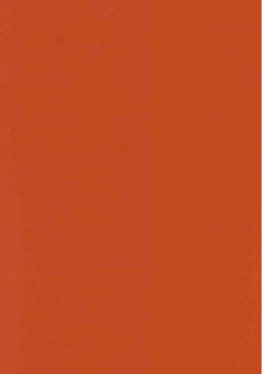 PUxx #2 22.3021 orange