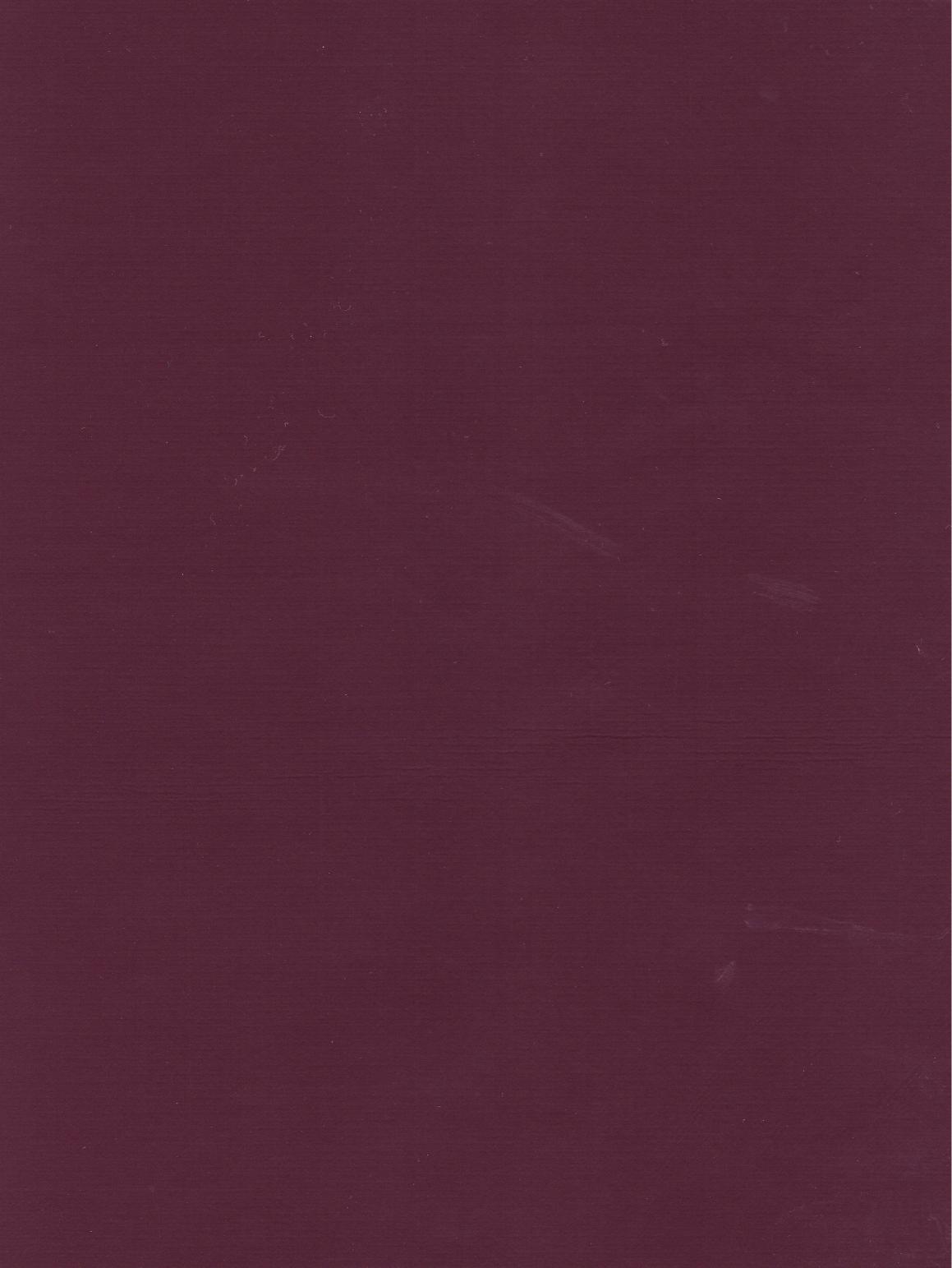 PUxx #2 22.3034 aubergine