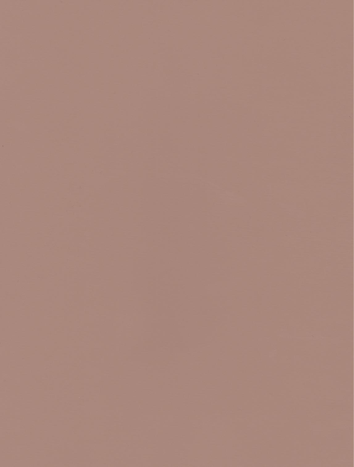 PUxx #2 22.3036 braunbeige