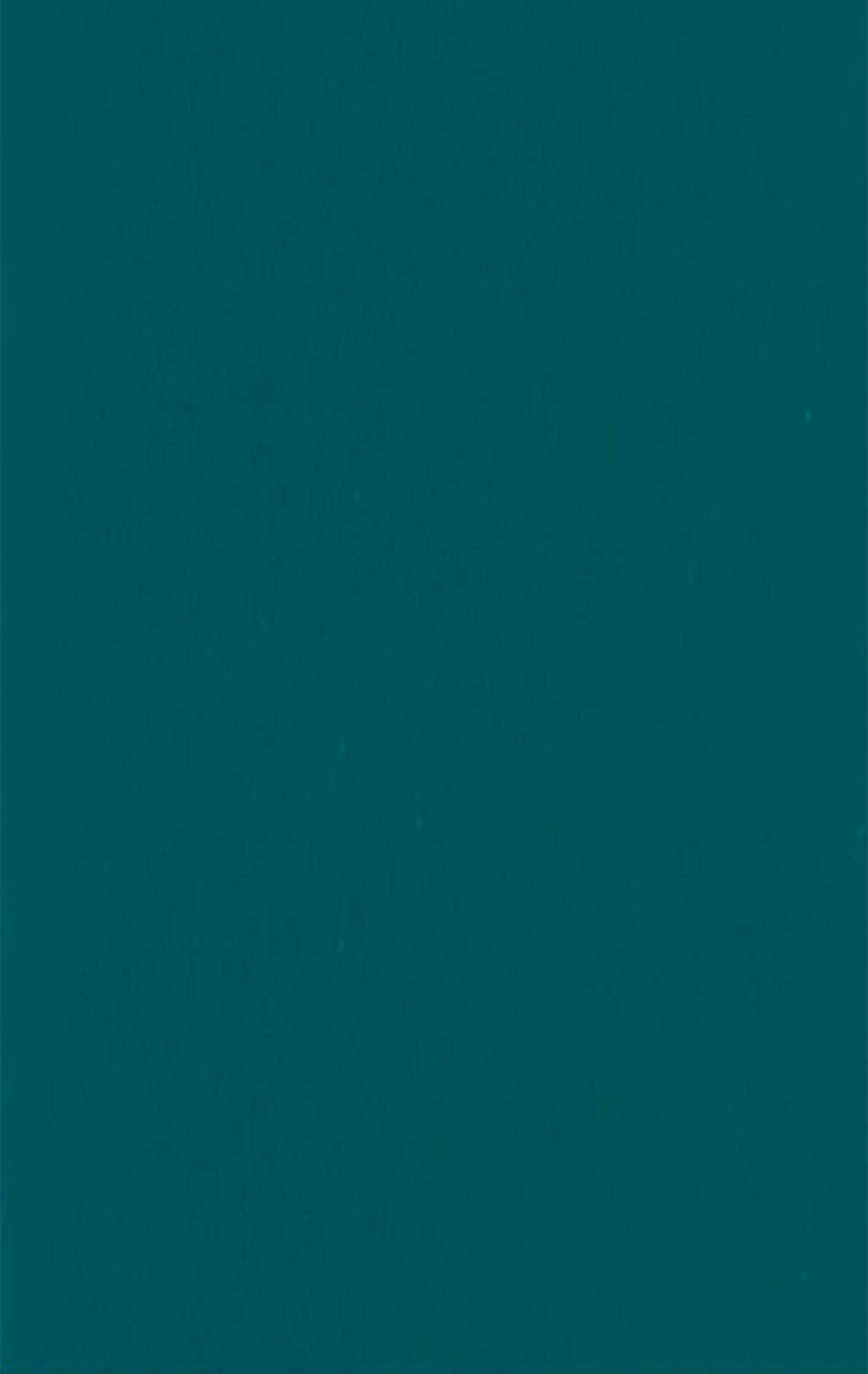 PUxx #2 22.3043 türkis