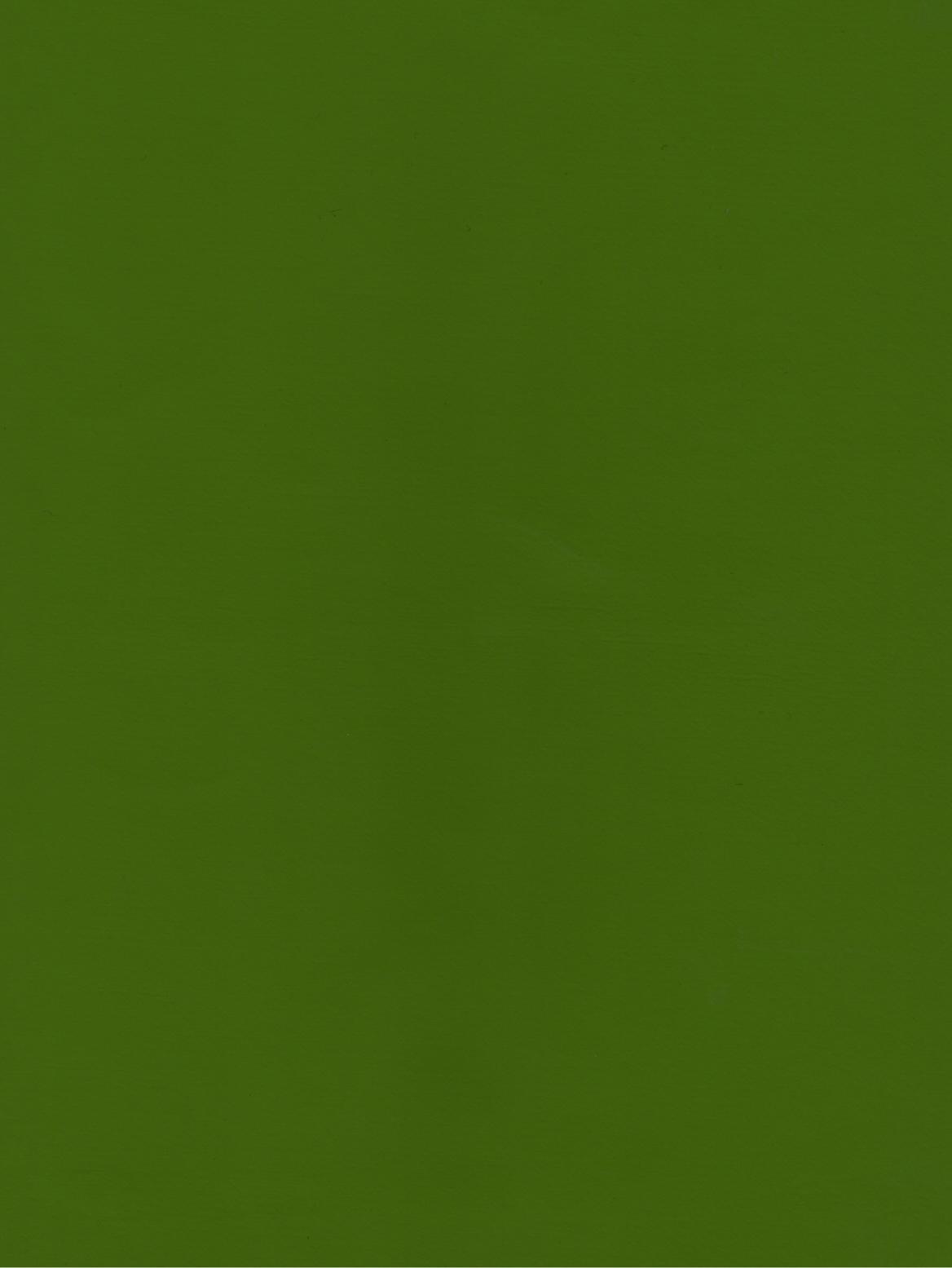 PUxx #2 22.3047 apfelgrün