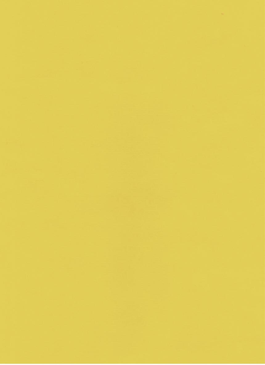 PUxx #2 22.5902 gelb