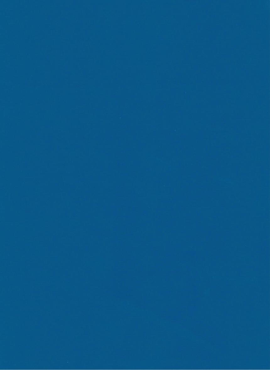 PUxx #2 22.8658 blau